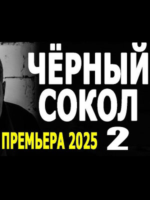 Чёрный сокол 2