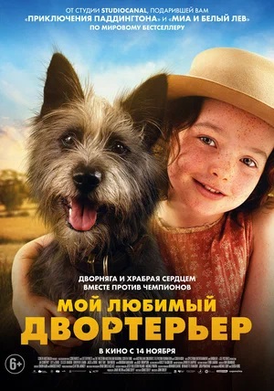 Мой любимый двортерьер 2024