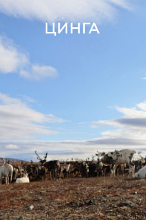 Цинга